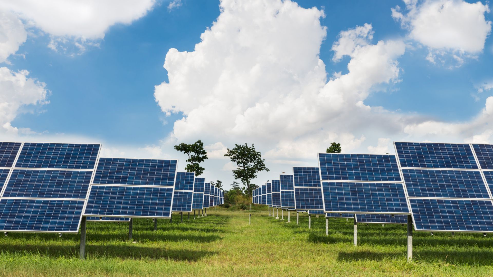 The Definitive List: Top Solar Panel Manufacturers in India